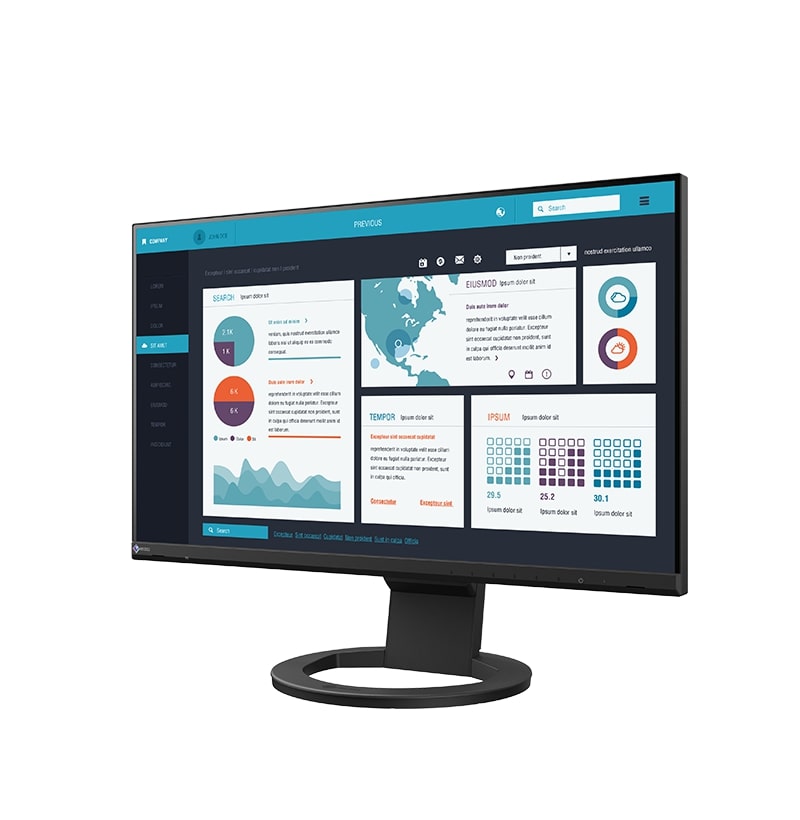 EIZO EV2490-BK 24", 16:9, 1920x1080, 250
