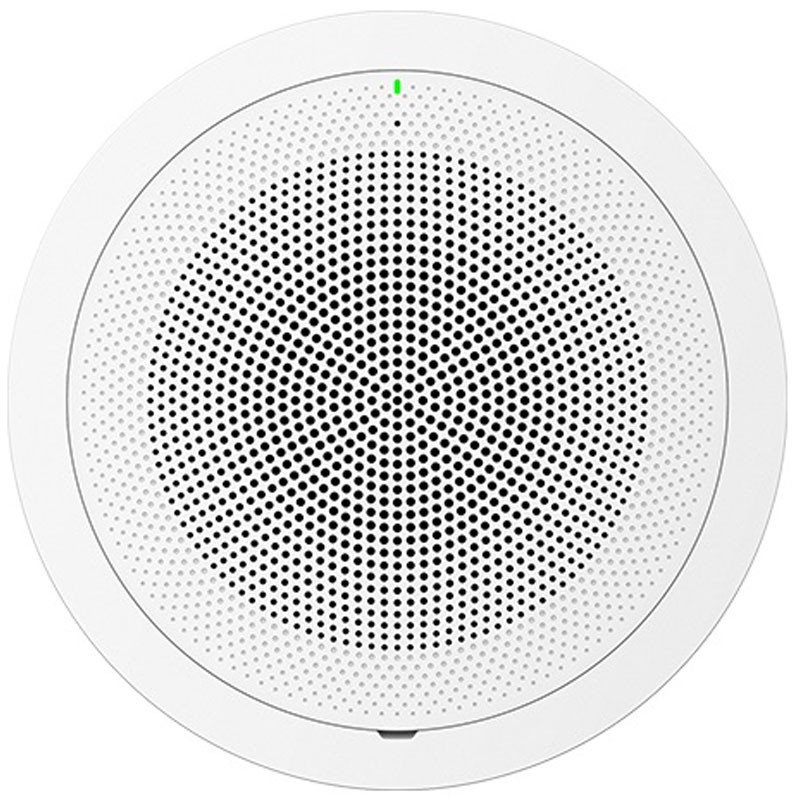 SIP/Multicast Talk-Back Speaker, no mic,