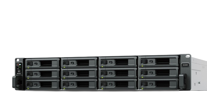 NAS SA3400D