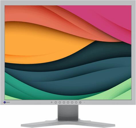 EIZO S2134-GY 21", 4:3, 1600x1200, 500 c