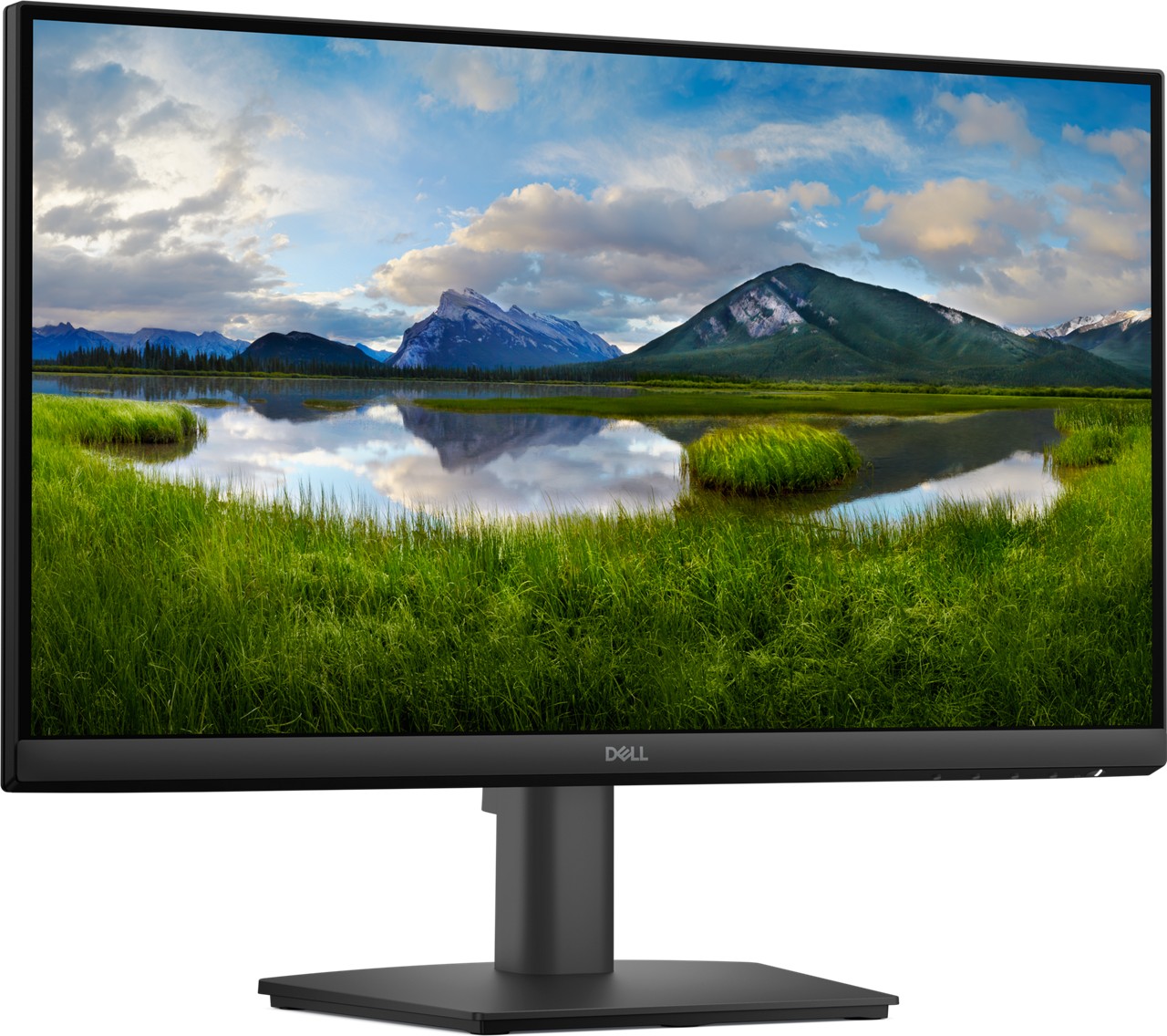 MON DELL Pro 22 Monitor E2225HM BLACK S