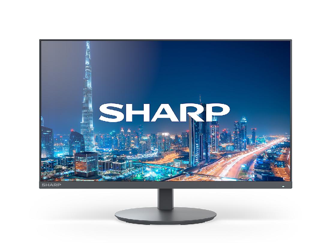 SHARP MultiSync DD-E244FL MODEL DD-E244F